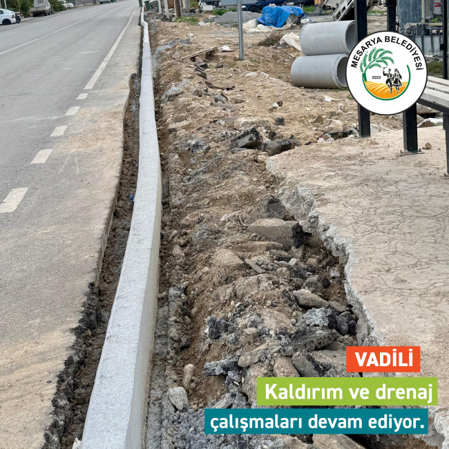 Mesarya Belediyesi yoğun bir tempo ile çalışmalarına devam ediyor.