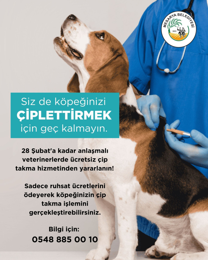 KÖPEK ÇİPLETTİRME İŞLEMLERİ 28 ŞUBAT&#039;A KADAR UZATILMIŞTIR.