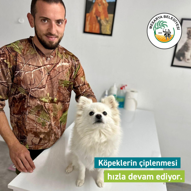 KÖPEKLERİNİZİ ÇİPLETİP RUHSATLANDIRMAYI UNUTMAYIN!