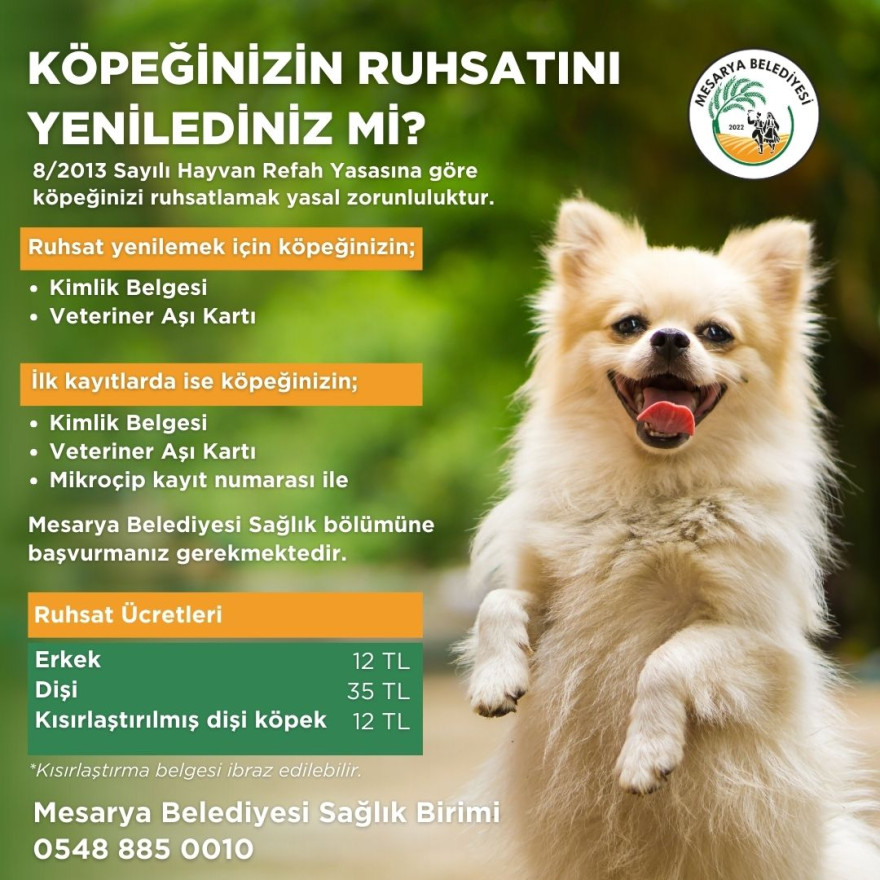 Köpek Çipleme Hakkında